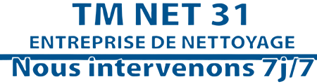 TM NET 31